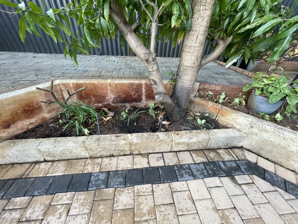 bore water stain removal services near me